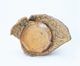 FileNo.109-1820.jpg