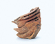 FileNo.109-1824.jpg