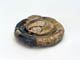 FileNo.109-237.jpg