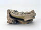 FileNo.109-243.jpg