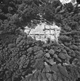 FileNo.109-255.jpg