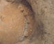 FileNo.109-258.jpg