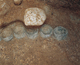 FileNo.109-259.jpg