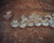 FileNo.109-262.jpg