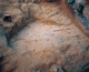 FileNo.109-263.jpg