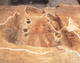 FileNo.109-266.jpg