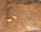FileNo.109-269.jpg