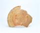 FileNo.109-283.jpg