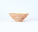 FileNo.109-303.jpg