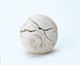 FileNo.109-314.jpg