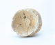 FileNo.109-332.jpg