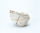 FileNo.109-333.jpg