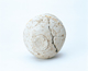 FileNo.109-334.jpg