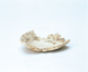 FileNo.109-336.jpg