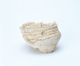 FileNo.109-339.jpg