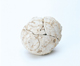FileNo.109-340.jpg
