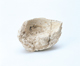 FileNo.109-341.jpg