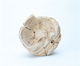 FileNo.109-342.jpg