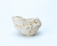 FileNo.109-343.jpg