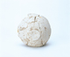 FileNo.109-344.jpg