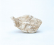 FileNo.109-345.jpg