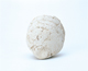 FileNo.109-350.jpg