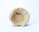 FileNo.109-351.jpg
