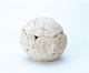 FileNo.109-353.jpg