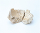 FileNo.109-354.jpg