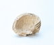 FileNo.109-361.jpg