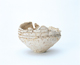 FileNo.109-362.jpg