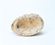 FileNo.109-368.jpg