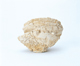 FileNo.109-369.jpg