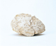 FileNo.109-370.jpg