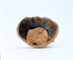 FileNo.109-381.jpg