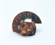 FileNo.109-434.jpg