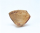 FileNo.109-448.jpg