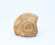 FileNo.109-450.jpg