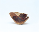 FileNo.109-452.jpg