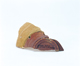 FileNo.109-462.jpg
