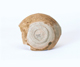 FileNo.109-479.jpg