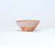FileNo.109-489.jpg