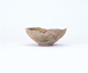 FileNo.109-496.jpg