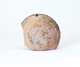 FileNo.109-507.jpg