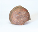 FileNo.109-510.jpg