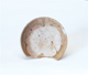 FileNo.109-511.jpg