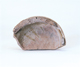 FileNo.109-520.jpg