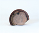 FileNo.109-535.jpg