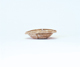 FileNo.109-557.jpg