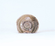 FileNo.109-589.jpg